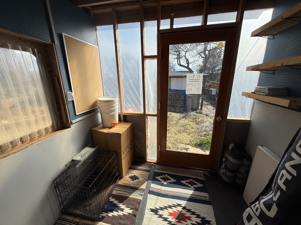 Inside the shed looking south